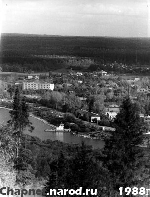Вид с Лебедевской горы на поселок Аркуль 1988 год